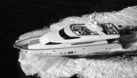 Elegance 90 Dynasty