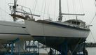 Tayana 37