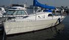 Takai 31