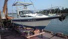 Yamaha FR26
