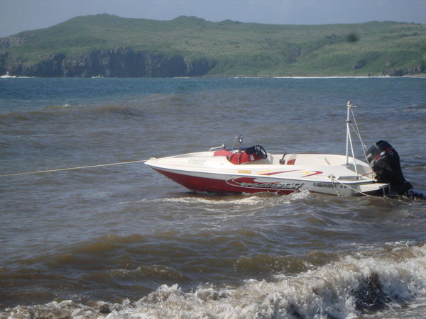 Suzuki Splash