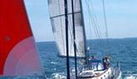 Tayana 55